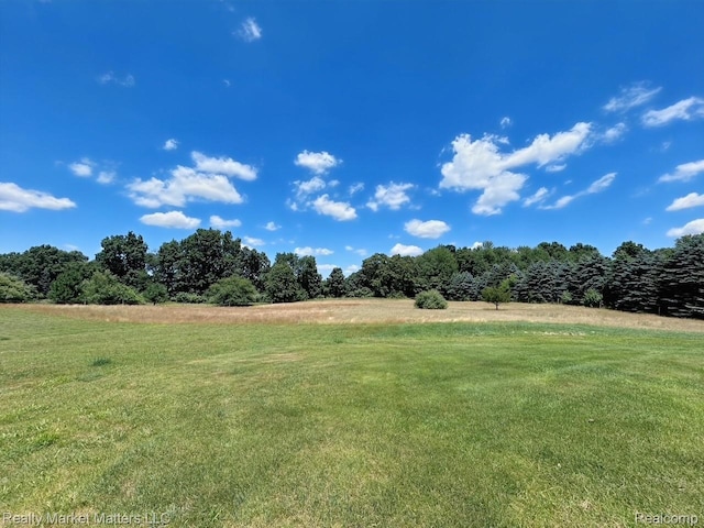 9963 Harr Rd, Grass Lake, MI 49240 - view of green lawn with a rural view