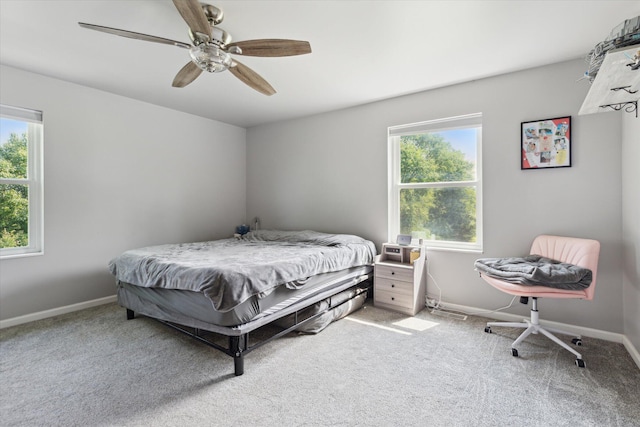8450 Carpenter Rd, Milan, MI 48160 - photo 20