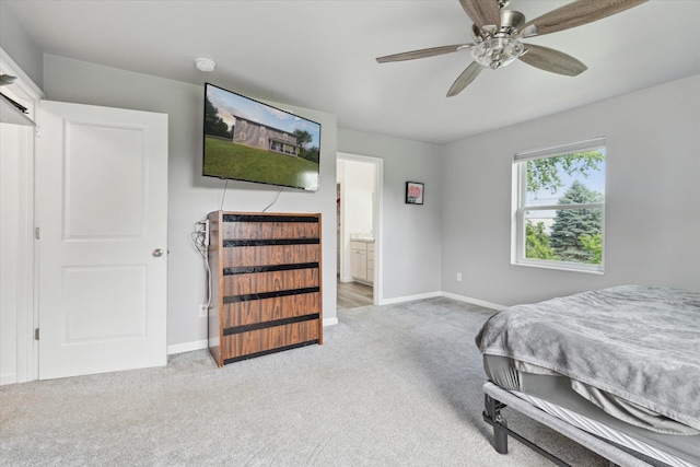 8450 Carpenter Rd, Milan, MI 48160 - photo 21