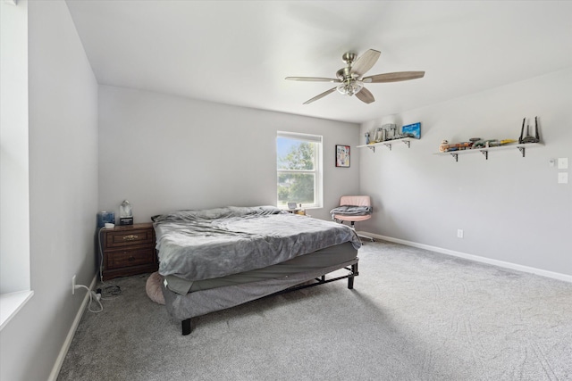 8450 Carpenter Rd, Milan, MI 48160 - photo 22