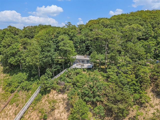 6881 Helena St, West Olive, MI 49460 - aerial view of property and surrounding area featuring a forest