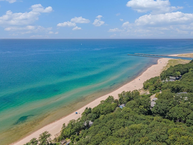 6881 Helena St, West Olive, MI 49460 - aerial view of extended coastline