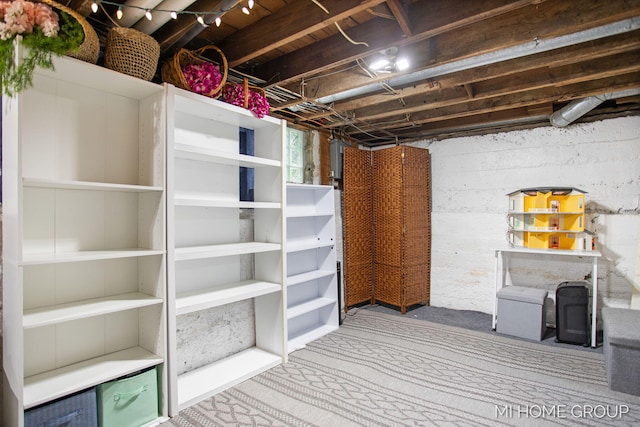 3255 Prairie St SW, Grandville, MI 49418 - view of storage area