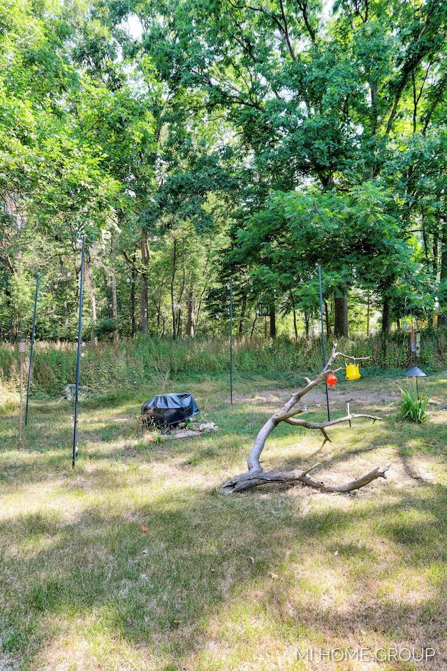 3255 Prairie St SW, Grandville, MI 49418 - view of grassy yard