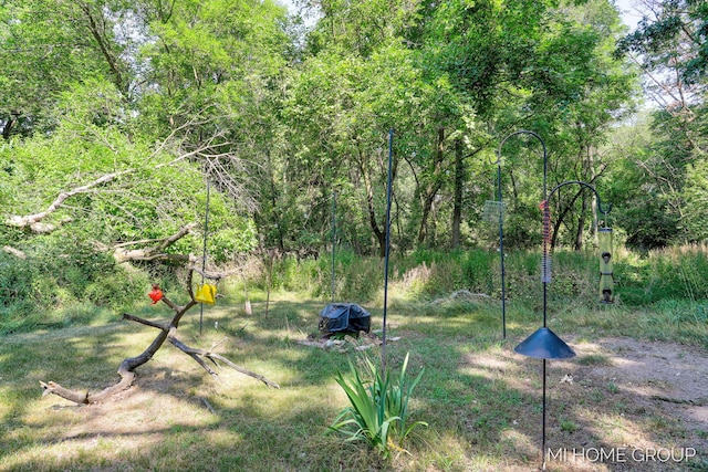 3255 Prairie St SW, Grandville, MI 49418 - view of yard