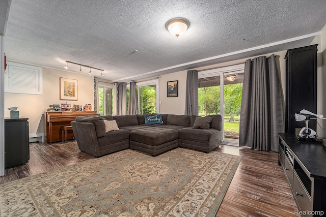 4729 Curtis Ln, Clarkston, MI 48346 - living area featuring a textured ceiling, dark wood-style floors, and rail lighting