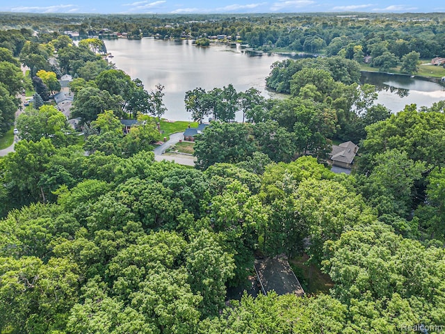 4729 Curtis Ln, Clarkston, MI 48346 - aerial overview of property's location featuring a large body of water and a forest