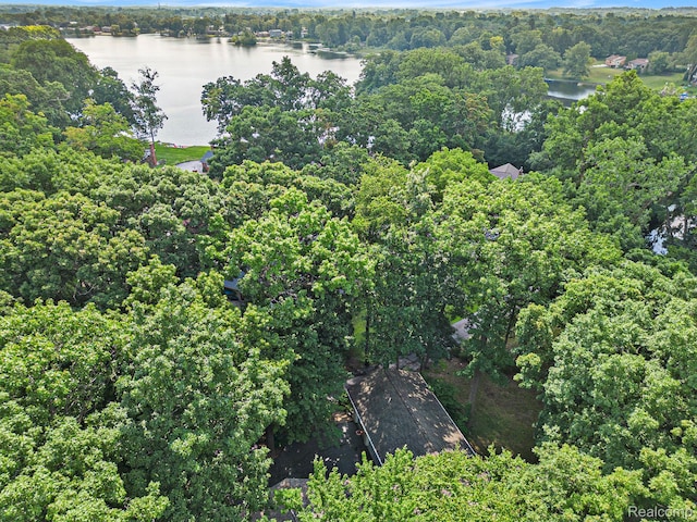 4729 Curtis Ln, Clarkston, MI 48346 - aerial overview of property's location with a nearby body of water