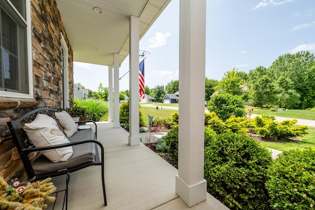 4785 Lauren Ln, Saint Joseph, MI 49085 - view of porch