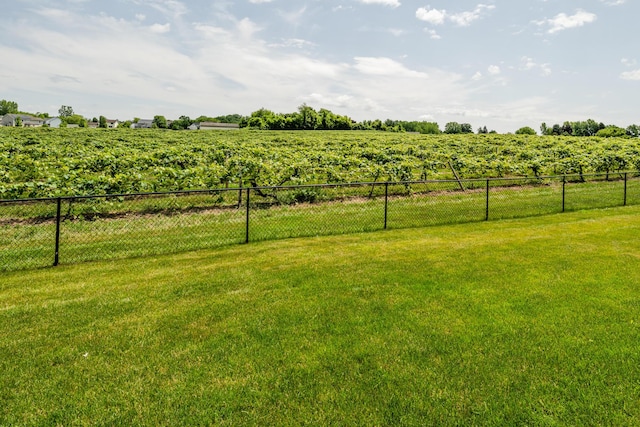 4785 Lauren Ln, Saint Joseph, MI 49085 - view of yard featuring a view of rural / pastoral area