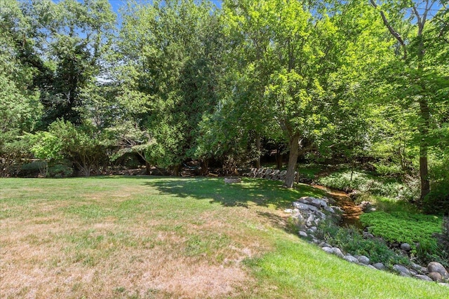 3658 Lake Harbor Rd, Norton Shores, MI 49441 - view of green lawn