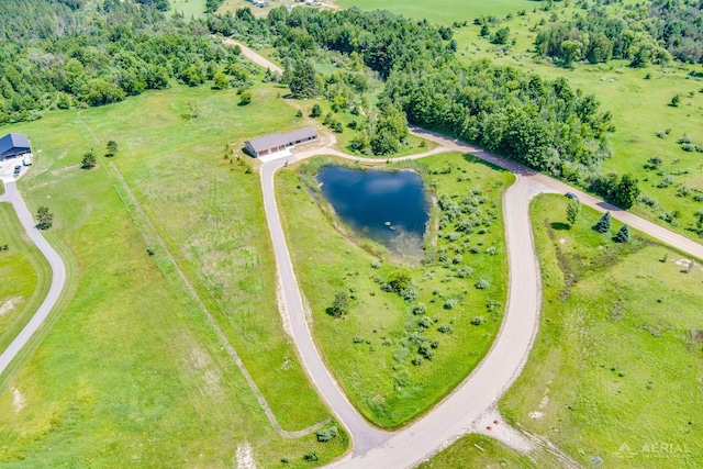4646 Lehman Rd, West Branch, MI 48661 - aerial view of a large body of water