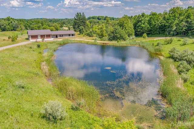 4646 Lehman Rd, West Branch, MI 48661 - water view featuring a heavily wooded area