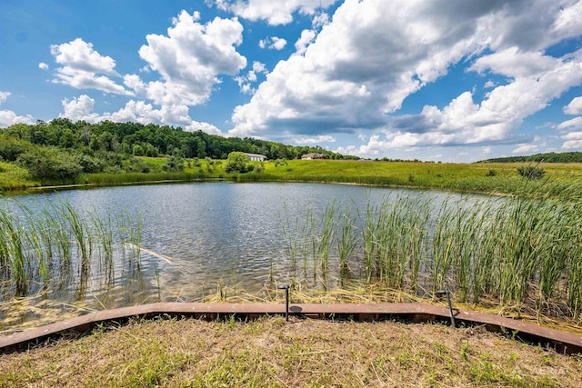 4646 Lehman Rd, West Branch, MI 48661 - water view