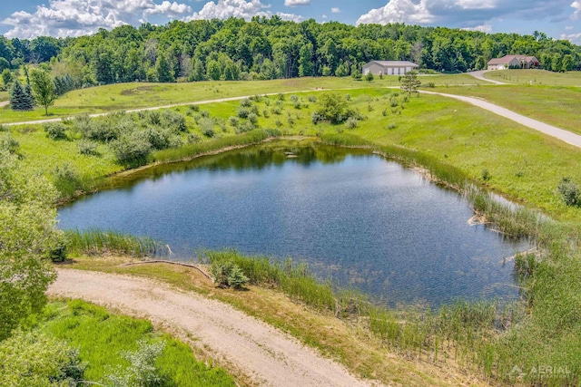 4646 Lehman Rd, West Branch, MI 48661 - bird's eye view of a nearby body of water and a forest