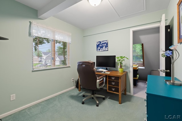 3129 Oakshade Dr, Manitou Beach, MI 49253 - home office with carpet floors and baseboards