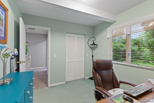 3129 Oakshade Dr, Manitou Beach, MI 49253 - office space with light carpet and baseboards