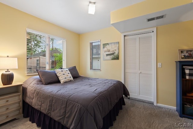 3129 Oakshade Dr, Manitou Beach, MI 49253 - bedroom featuring carpet flooring and a closet