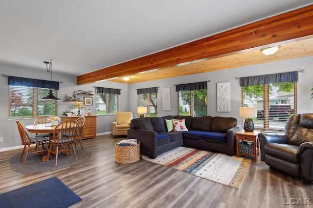 3129 Oakshade Dr, Manitou Beach, MI 49253 - living room with wood finished floors and beam ceiling
