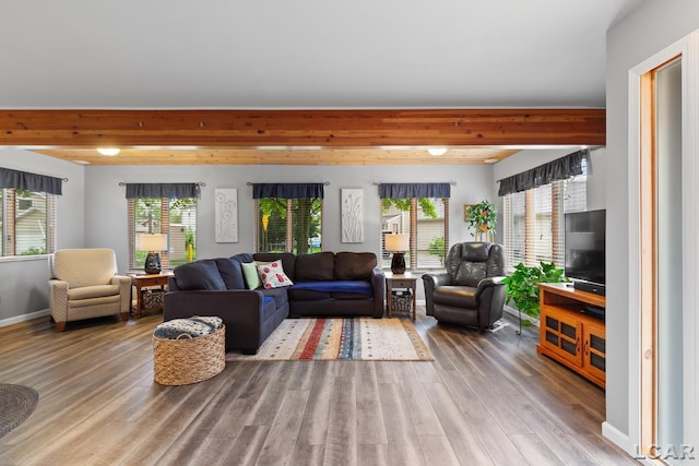 3129 Oakshade Dr, Manitou Beach, MI 49253 - living area featuring beam ceiling, wood finished floors, and plenty of natural light