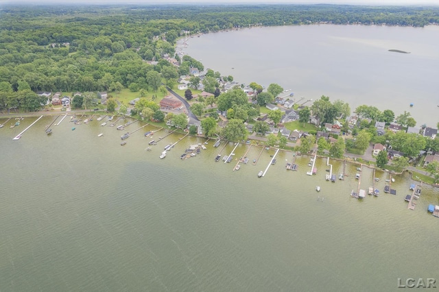 3129 Oakshade Dr, Manitou Beach, MI 49253 - aerial view of property and surrounding area with a large body of water and a heavily wooded area