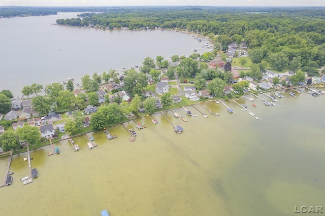 3129 Oakshade Dr, Manitou Beach, MI 49253 - aerial view of residential area featuring a nearby body of water