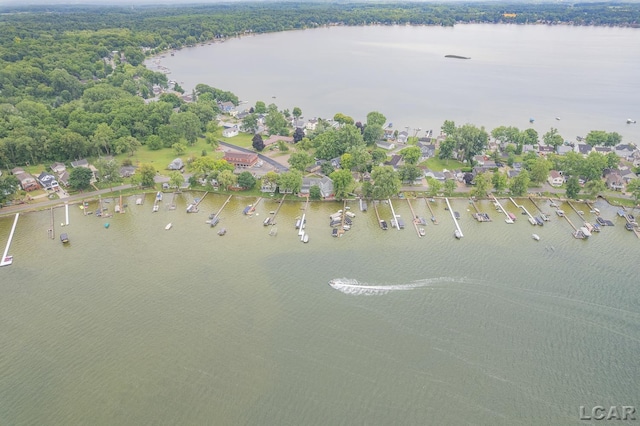 3129 Oakshade Dr, Manitou Beach, MI 49253 - aerial view of property's location with a large body of water
