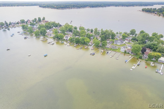 3129 Oakshade Dr, Manitou Beach, MI 49253 - bird's eye view of a nearby body of water