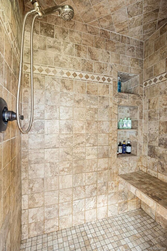 3985 Wadhams Rd, China, MI 48054 - bathroom featuring a tile shower