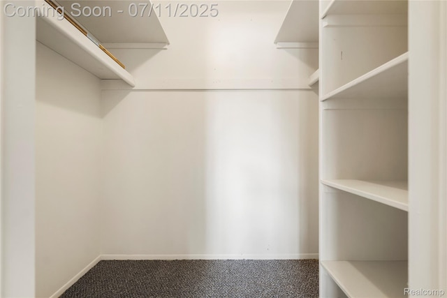 25300 Shiawassee Cir Unit 204, Southfield, MI 48033 - photo 14