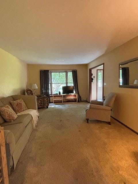 43618 Carla Dr, Paw Paw, MI 49079 - living area with carpet floors