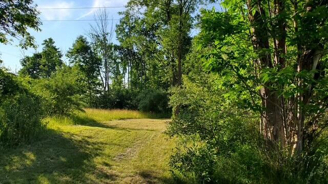 1711 14 Mile Rd, Marion, MI 49665 - photo 13