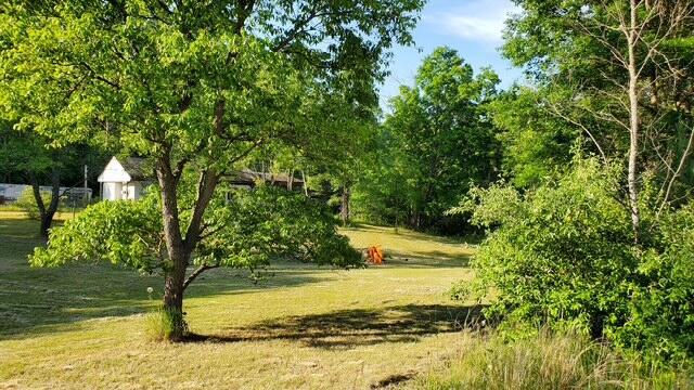 1711 14 Mile Rd, Marion, MI 49665 - photo 14