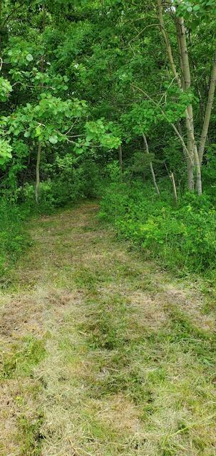 1711 14 Mile Rd, Marion, MI 49665 - photo 18