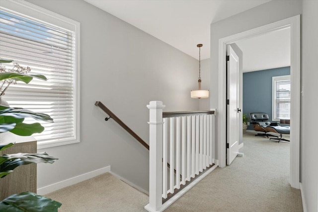 230 Cavelier Ave, Saint Joseph, MI 49085 - stairway with carpet floors and baseboards