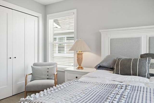 230 Cavelier Ave, Saint Joseph, MI 49085 - carpeted bedroom with a closet