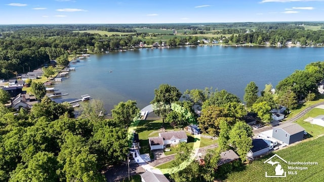 6591 Morgan Rd, Osseo, MI 49266 - photo 7