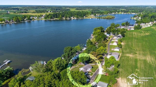 6591 Morgan Rd, Osseo, MI 49266 - photo 8