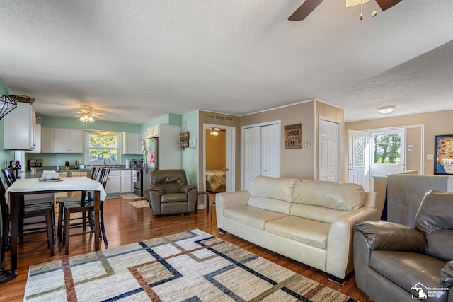 6591 Morgan Rd, Osseo, MI 49266 - photo 10