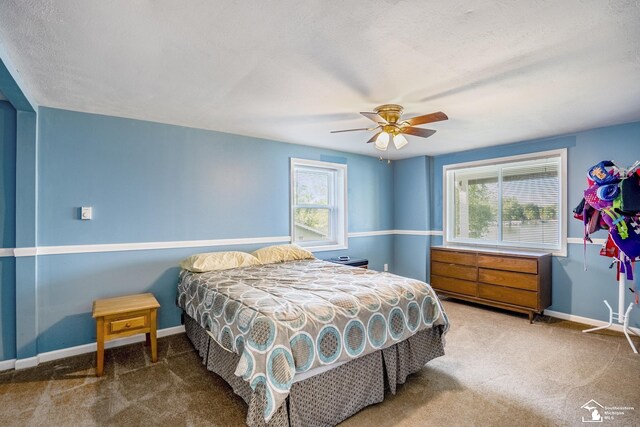 6591 Morgan Rd, Osseo, MI 49266 - photo 28