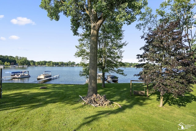 6591 Morgan Rd, Osseo, MI 49266 - photo 34