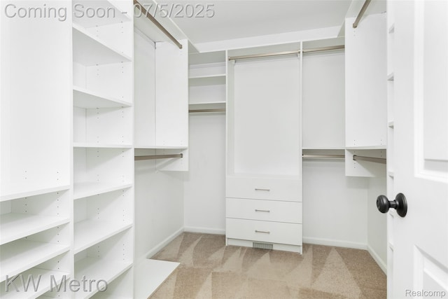 3666 Phillips Ave, Berkley, MI 48072 - spacious closet with light carpet