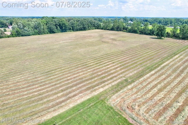 9215W Grand Blanc Rd, Gaines, MI 48436 - photo 61