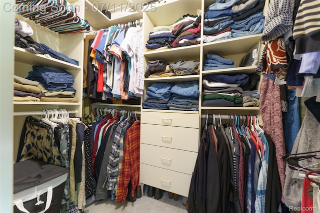 8527 Congress Dr, Canton, MI 48187 - walk in closet featuring carpet