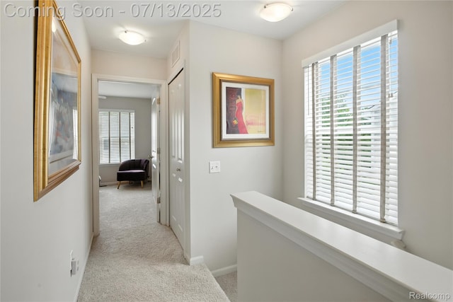 3317 Parkways Blvd, Auburn Hills, MI 48326 - corridor with carpet flooring, healthy amount of natural light, and an upstairs landing