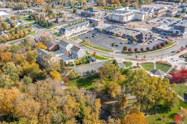 3317 Parkways Blvd, Auburn Hills, MI 48326 - bird's eye view