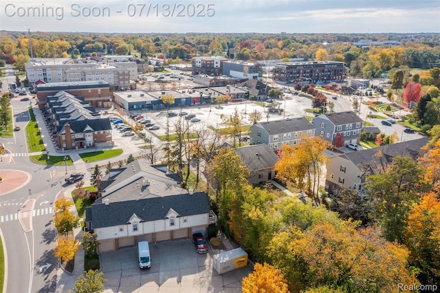 3317 Parkways Blvd, Auburn Hills, MI 48326 - aerial view