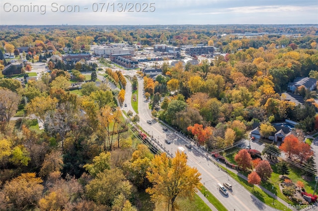 3317 Parkways Blvd, Auburn Hills, MI 48326 - drone / aerial view of a forest