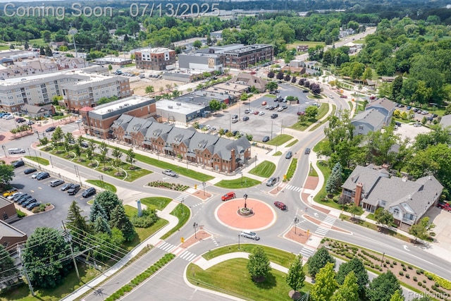 3317 Parkways Blvd, Auburn Hills, MI 48326 - bird's eye view