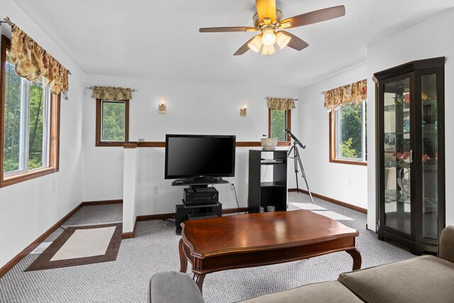16966 Maple Dr, Leroy, MI 49655